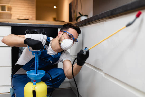 Best Best Pest Control Companies  in Middletown, OH