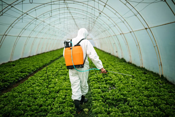 Reliable Middletown, OH Pest Control Solutions