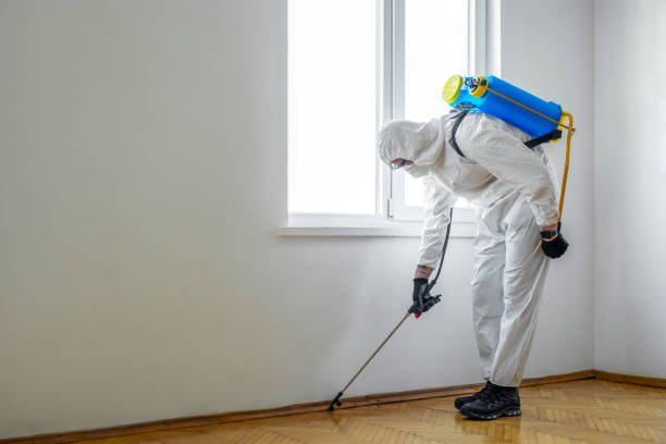 Best Residential Pest Control  in Middletown, OH