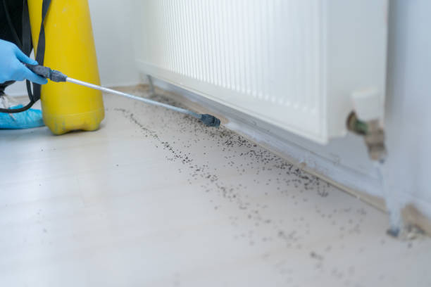 Best Affordable Exterminators  in Middletown, OH