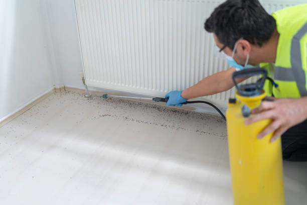 Best Pest Control Near Me  in Middletown, OH